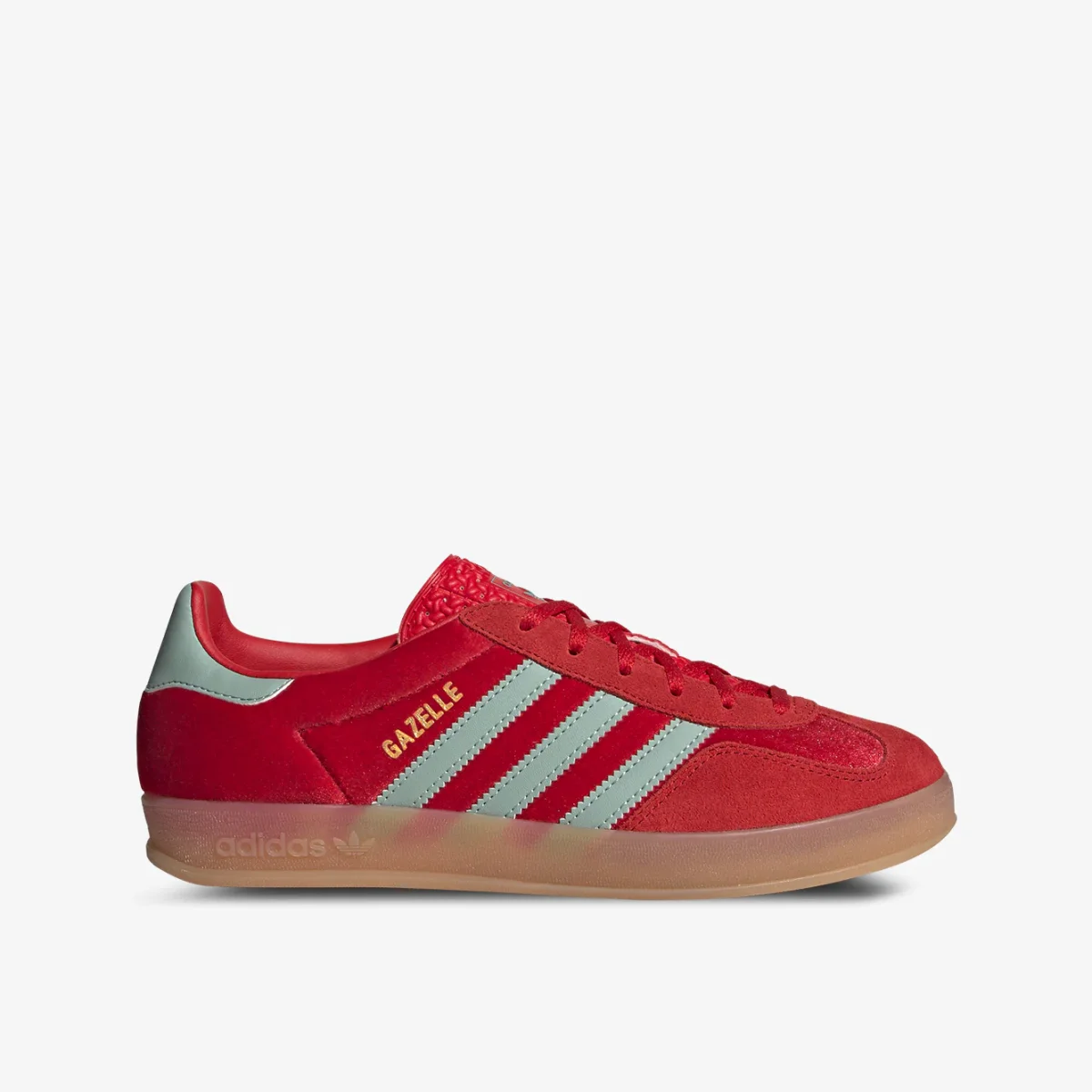 Gazelle indoor - immagine 2