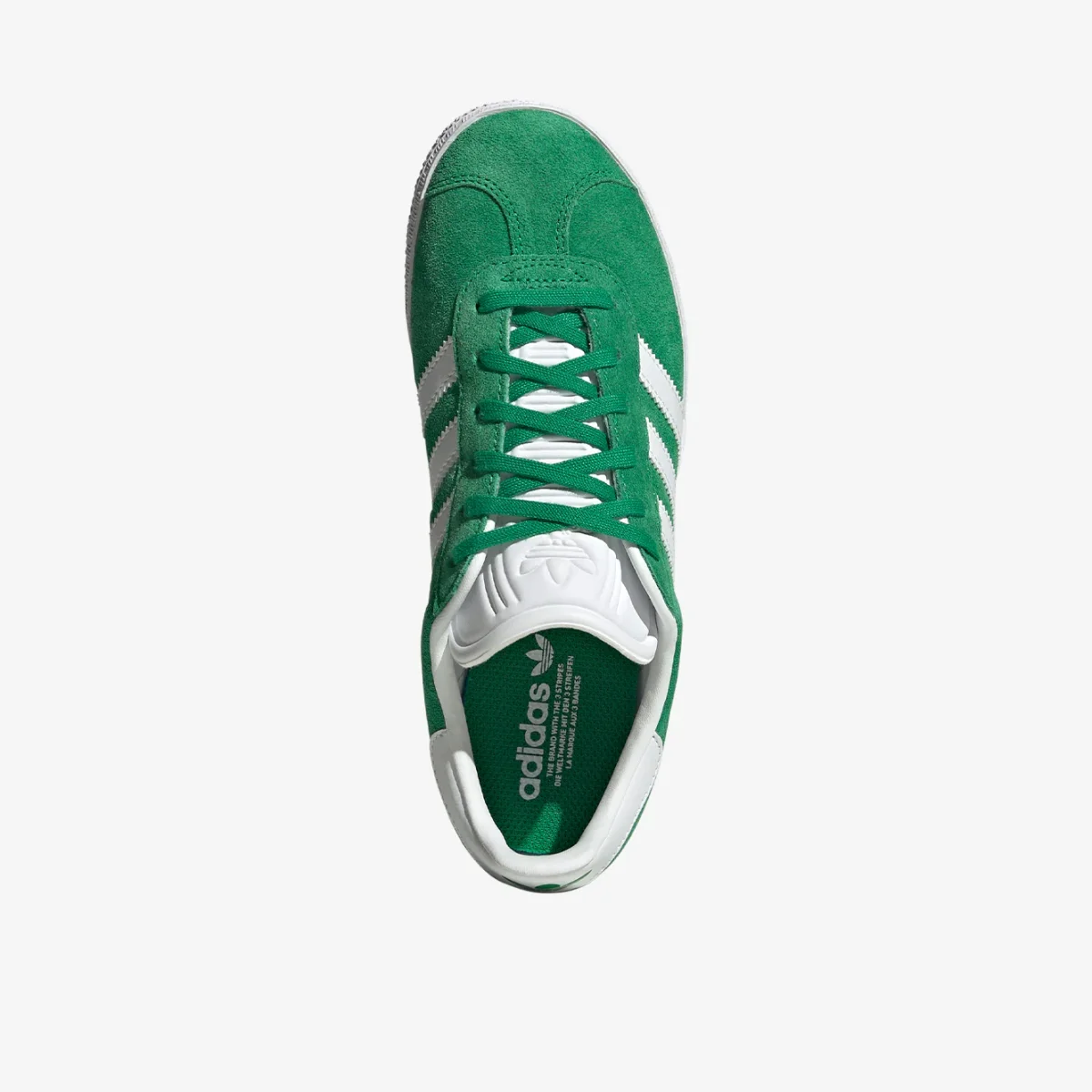 Gazelle - immagine 4
