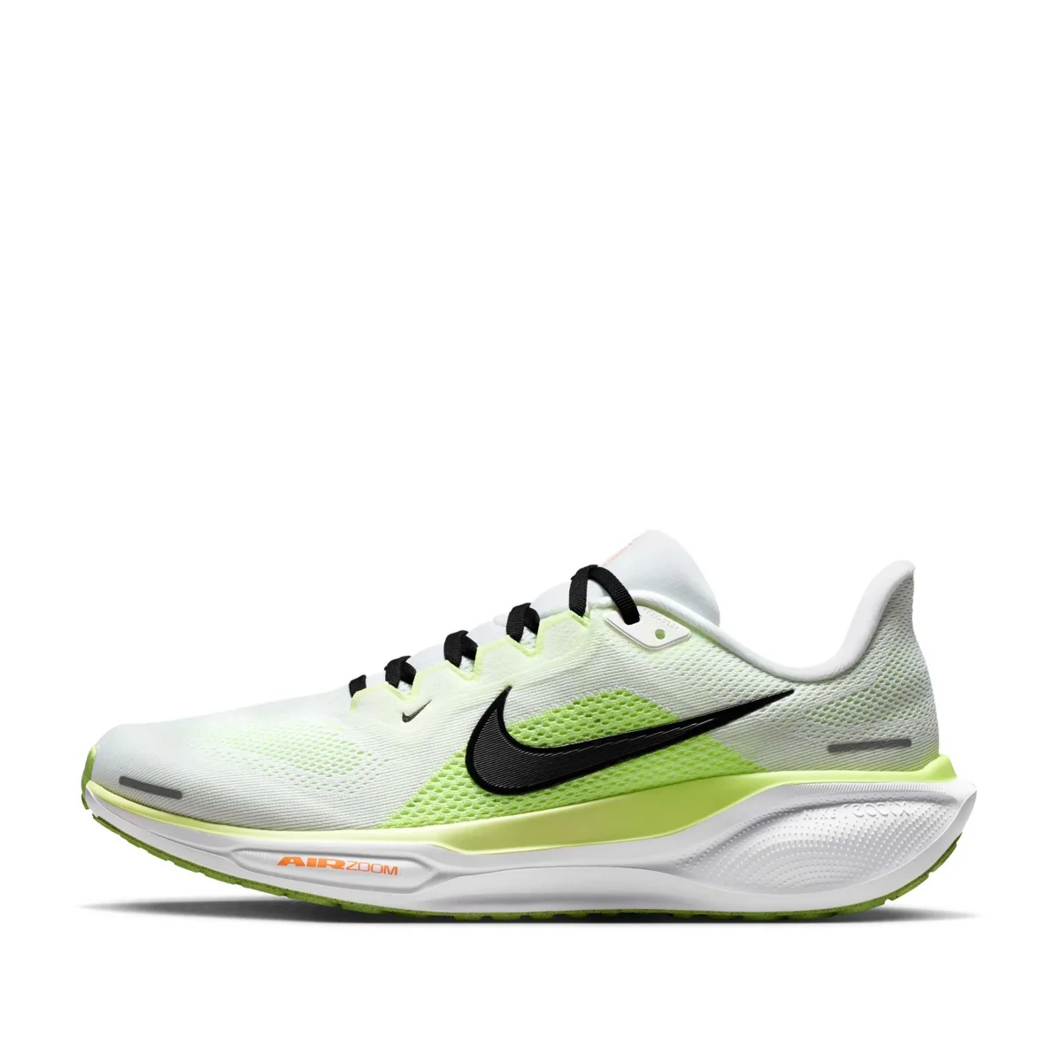 Pegasus 41