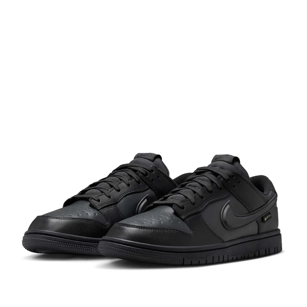 Dunk Low Gtx - immagine 3