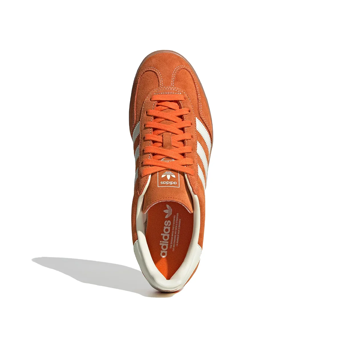 Gazelle Indoor - immagine 3